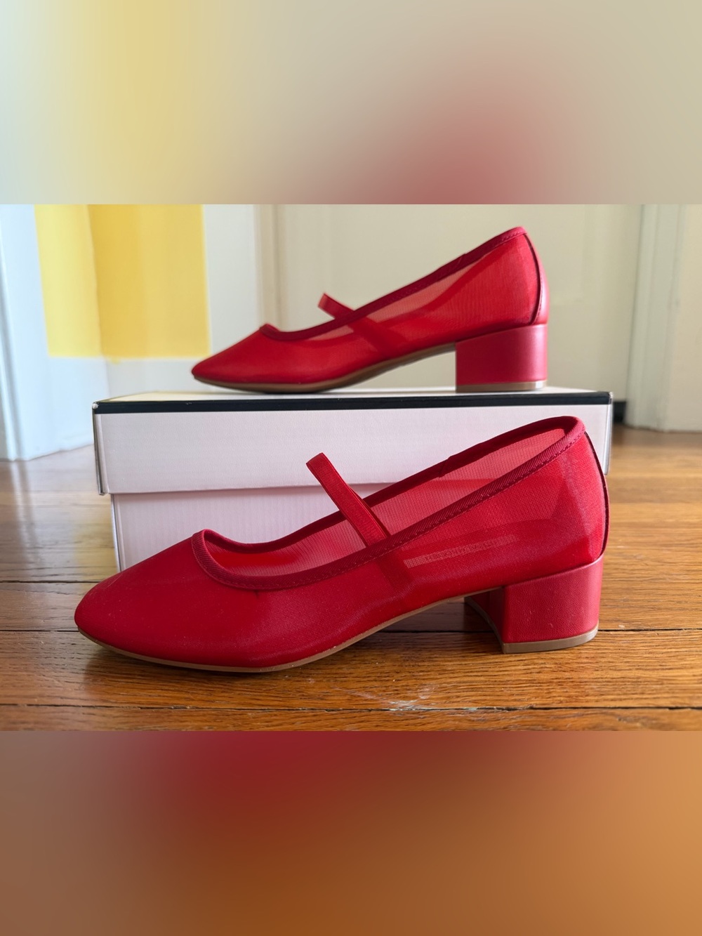 Steve Madden Red Mesh Mary Jane Low Block Heel